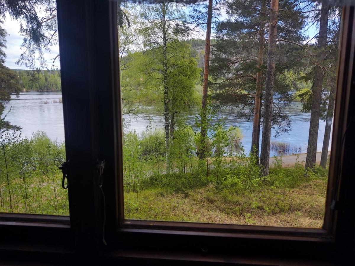Selholmens Camping エルブスビュン エクステリア 写真